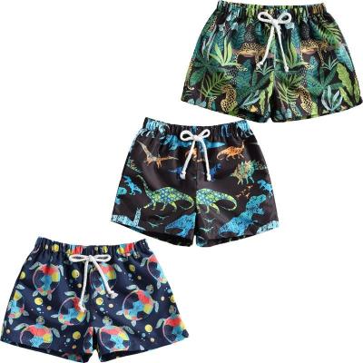 China Summer Kids Baby Boy QUICK DRY Beach Shorts 0-4Y Toddler Dinosaur/Leaf/Turtle Print Drawstring Shorts Beach Bottom Swimwear vacation for sale