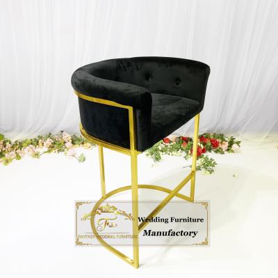 China Modern Design T Shape Modern Bar Stool With Stainless Steel Back Legs Bar Chair for sale