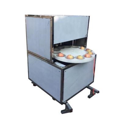 China Automatically Operation Factory Apple Peach Olives Dig Seed Removing Machine for sale