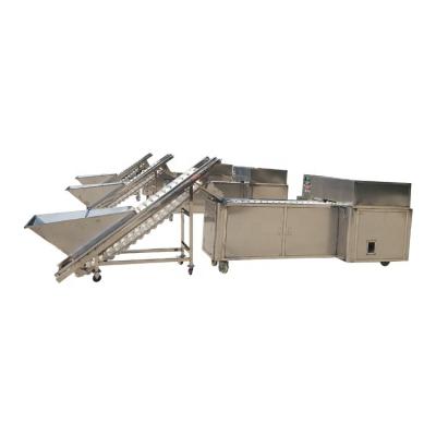 China Semi-automatic Automatic Section Separating Apple Mango Peach Core Slicing Removing Machine for sale