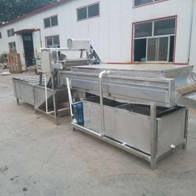 China Automatically Vegetable Fruit Dates Bubble Washing Machine From China Manufacturer for sale