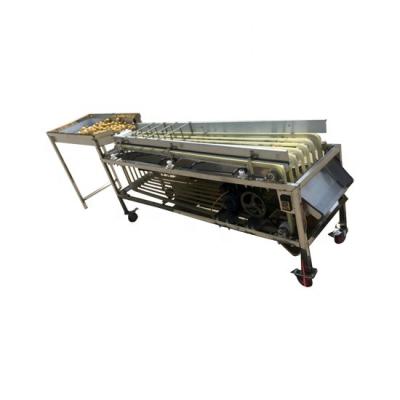 China Snack Factory Automatic Fruit Longan Pick Red Olive Sorting Machine for sale