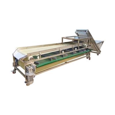 China Date Palm Small Fruit Plant Apple Olive Sorting Grading Sizing Machine for sale