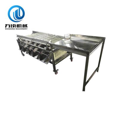 China Rated Snack Plant Sorter Automatic For Red Jujube Dates Plums And Fruit Processing Equipment for sale