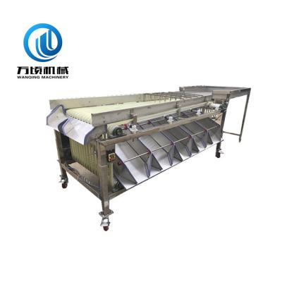 China Automatically Automatic Assorted Medjool Date Grading Machine Jujube Dates Plums And Similar Fruit Processing for sale