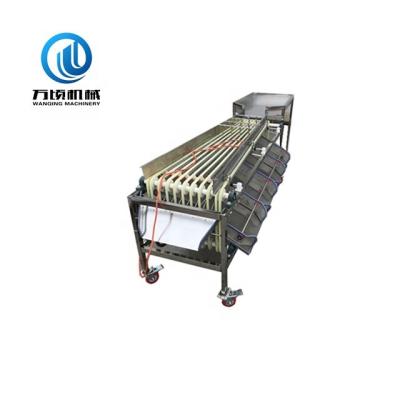 China Preferred Dates Factory Automatic Snack Size Sorter Medjool Dates Equipment Preferred Price On Sale for sale