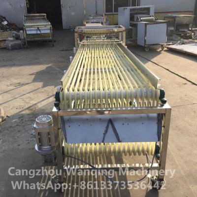 China Automatically Operation Longan Sorting Machine / Sizing Equipment / Grader for sale