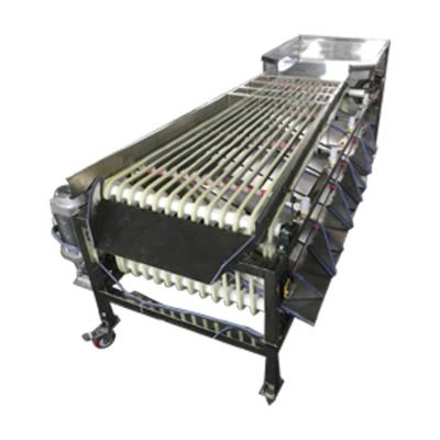 China Automatic Apple Tomato Snack Plant Fruit Lemon Mango Orange Kiwi Blueberry Dates Sorting Grading Machine for sale