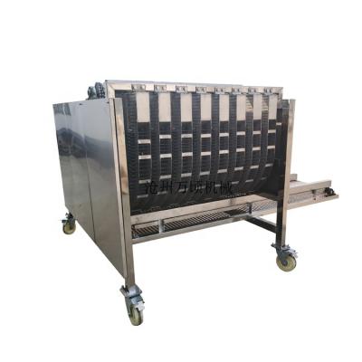 China Automatically Green Walnut Peeling Washing Machine for sale