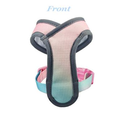 China New Design Soft Breathable Gradient Viable Pet Walking Vest Harness Cute And Durable Ramp Accept Custom Dog Harness Vest for sale