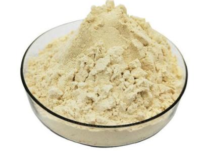 China Good emulsifying concentrated soy protein for emulsified sausage, ham, vegetarian food and frozen food for sale