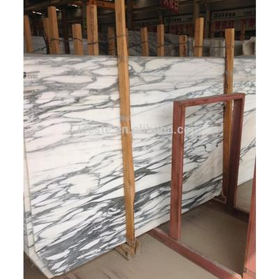 China Wall Decoration Selling Popular Polished Arabescato White Marble Slab for sale