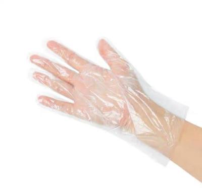 China Oil Proof Clear Home Glove Pe Plastic Working Pe Gloves for sale