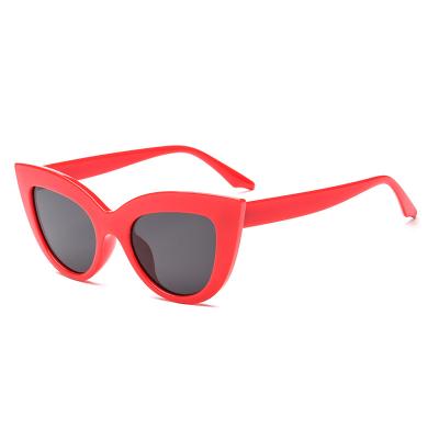 China Hot Fashion Sunglasses Trend Custom Logo Plastic Red White Colorful Lenses for sale