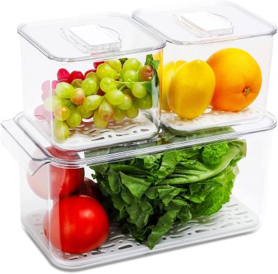 China Kunststoff Vorratsdosen Kitchen Refrigerator Airtight Clear Plastic Viable Food Storage Containers Organizer for sale