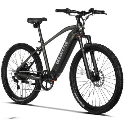 China Free Shipping Aluminum Electric Bike 500W 27.5