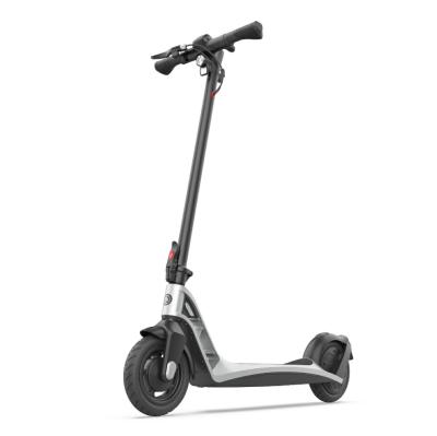 China Original Unisex Sterngth 300W 36V 10Ah Motor Sterngth 300W 36V 10Ah Step Scooter Smart Electric Scooter Stylish Light Weight High Power Escooer for sale