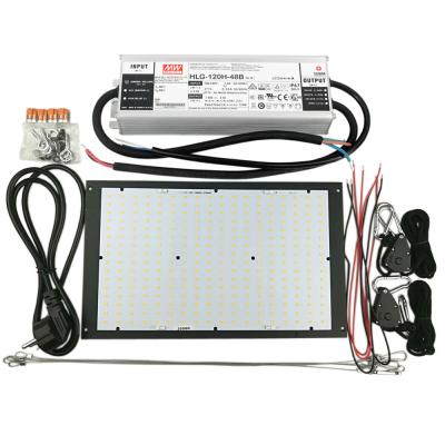 Κίνα κβαντικός πίνακας 120W QB288 για Grow την ελαφριά πλήρη ενότητα φωτισμού φάσματος με τα τσιπ 3000K 660nm των οδηγήσεων LM301B Samsung προς πώληση