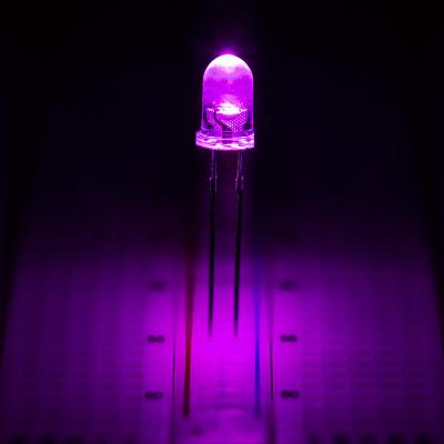 China Clear Violet Led Through Hole Mount 460nm 30 Degree Viewing Angle 26-28mm Legs Length for sale