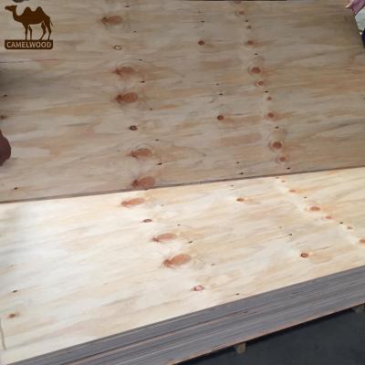 China Traditional thickness of 2400x1200MM 6MM-25MM structural/non-structural plywood of a pine glue poplar BOND core for sale