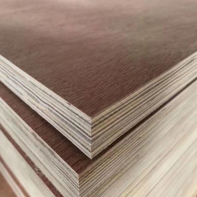 China Contemporary 18mm commercial plywood best quality poplar /combi core birch/okoume commercial plywood for sale