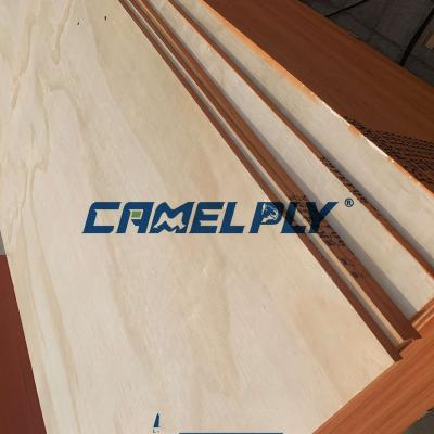 China EXTERIOR CDX PINE PLYWOOD PFRESH POPLAR CORE AND C/D GRADE PINE VENEER WITH WBP GLUE for sale