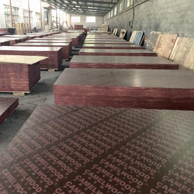 China Modern 18mm brown film faced plywood factory price w.b.p glue waterproof twice hot press twice sanding reuse 5 times for sale