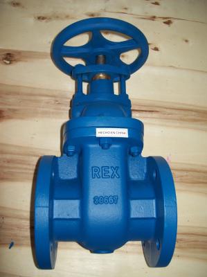 China (BS) Cast Iron Gate Valve Flanged Ends for sale