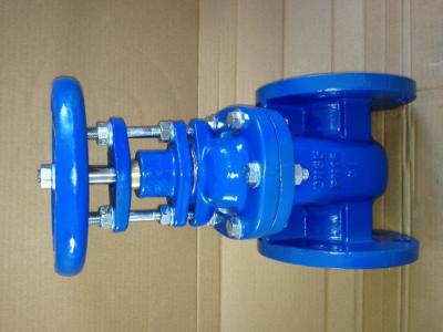 China (BS) Cast Iron Gate Valve Flanged Ends PN25 for sale