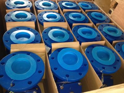 China ANSI y strainer flanged ends for sale