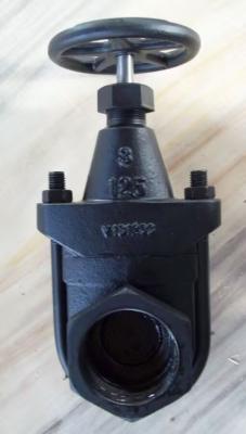 China clip gate valve for sale