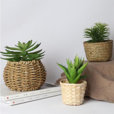 China Hotel Restaurant Home Newcomers Garden Home Decorative Fake Potted Artificial Succulent Plant for sale