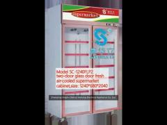 910l 220v 2 door glass door freezer convenient double door display freezer