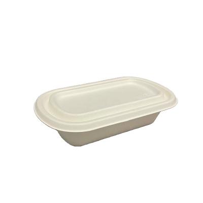 China 800ml Sugar Cane Heatable Bagasse Biodegradable Disposable Food Container Bento Lunch Box With Lid for sale