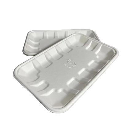 China Cheap Disposable Compostable Biodegradable Supermarket Disposable Dish Bagasse Dinner Food Packaging Container Fresh Frozen Tray for sale