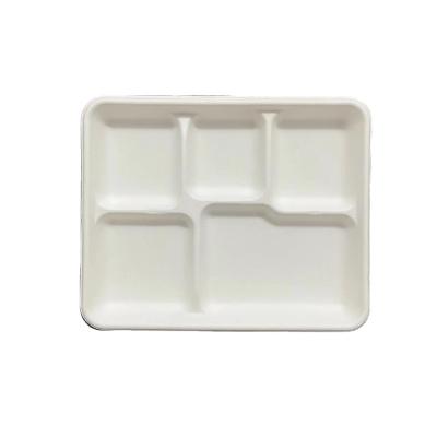 China Disposable Eco-Friendly Products Sugarcane Biodegradable Tableware Fruit Fruit 5 Compartment Food Tray for sale