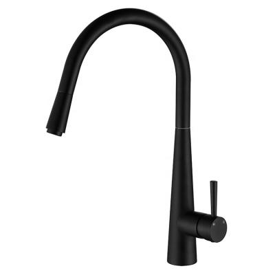 China Pull Out Spray Kitchen Sink Faucet for sale