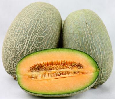 China hami melon extract, cantaloupe extract, hami melon powder for beverages for sale