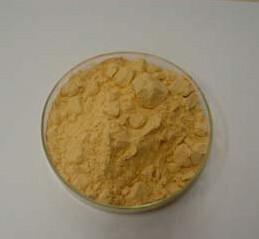 China instant Seabuckthorm powder for sale