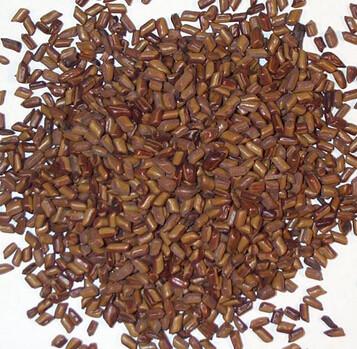 China Semen Cassiae/Cassia Seed Extract for sale