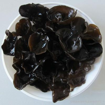 China Auricularia auricula extract,black fungus extract,Black Wood Ear Extract,Black mushroom Extract for sale