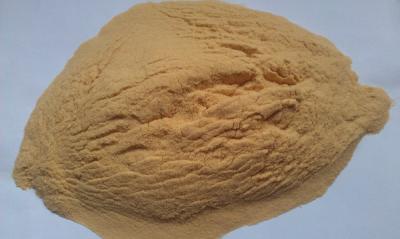 China Tea Saponin Powder 60% from Camellia oleifera seed Extract for sale