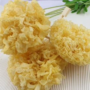 China Tremella Powder, Tremella P.E.,Tremella Fuciformis P.E., snow fungus extract for sale