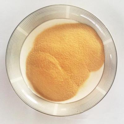 China Water Soluble Corn Oligopeptides Powder Protein 80 Corn Peptides 75 for sale