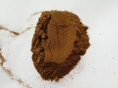 China green lipped mussel powder, wild green lipped mussel powder, green lipped mussel extract for sale