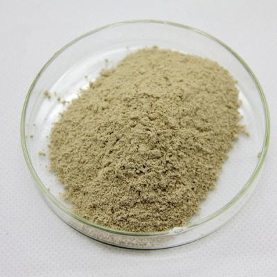 China deer placent freeze dried powder, deer placenta powder, pure deer placenta extract for sale