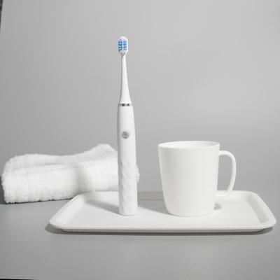 Cina IPX7 Smart automatico impermeabile Sonic Electric Toothbrush For Adults in vendita