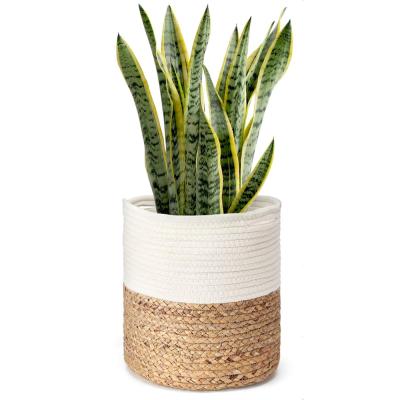 China Hanging Planter Straw Planter Sundayhome Large Pastoral Indoor Planter for sale