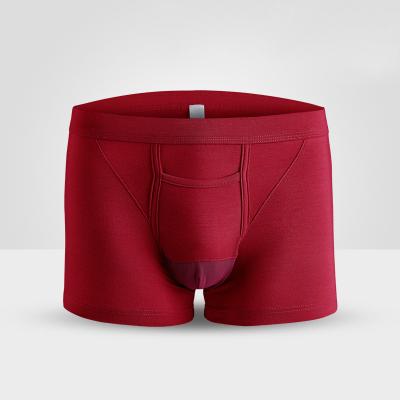 China Antibacterial Plus Size Modal Mens Sexy Boxers And Underwear Briefs Panties Good Quality for sale