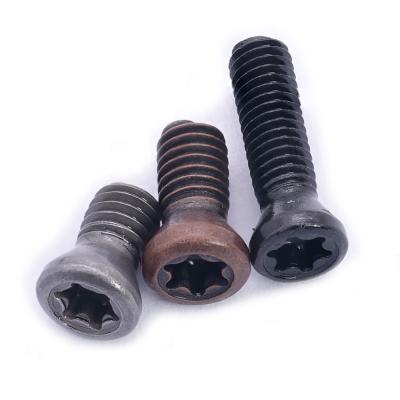 China Pan CNC Lathe Tool Spare Part Screws Hex Insert Torx Screws For Carbide Inserts CNC Lathe Tool Tornillos Fasteners for sale